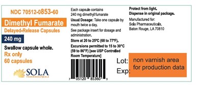 70853-853-60-label 240 mg.jpg 70512-853-label 240 mg - 70853 853 60 label 240 mg